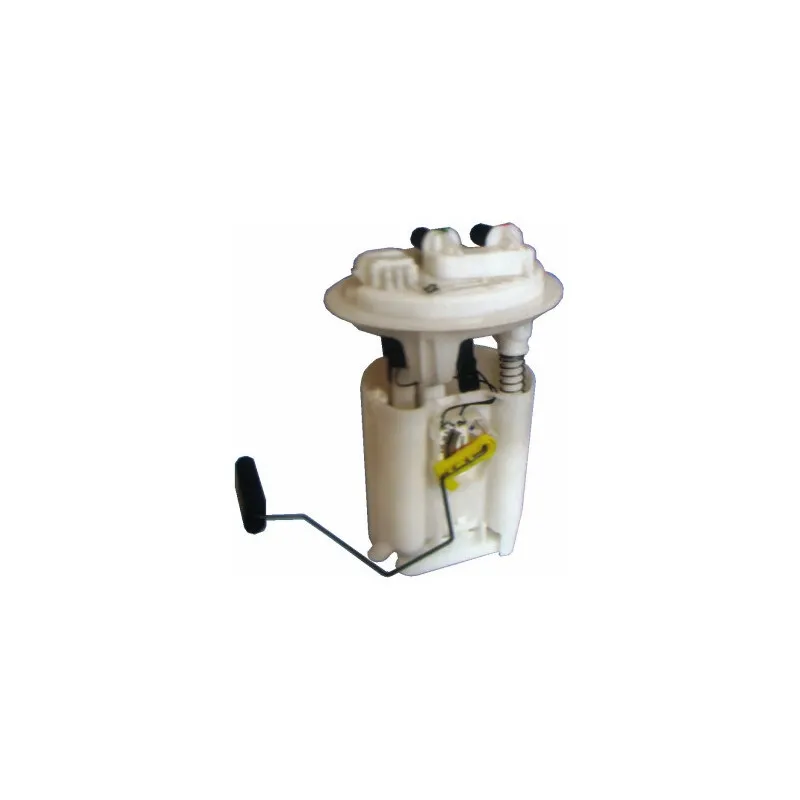Unité d'injection de carburant HOFFER 7506582E
