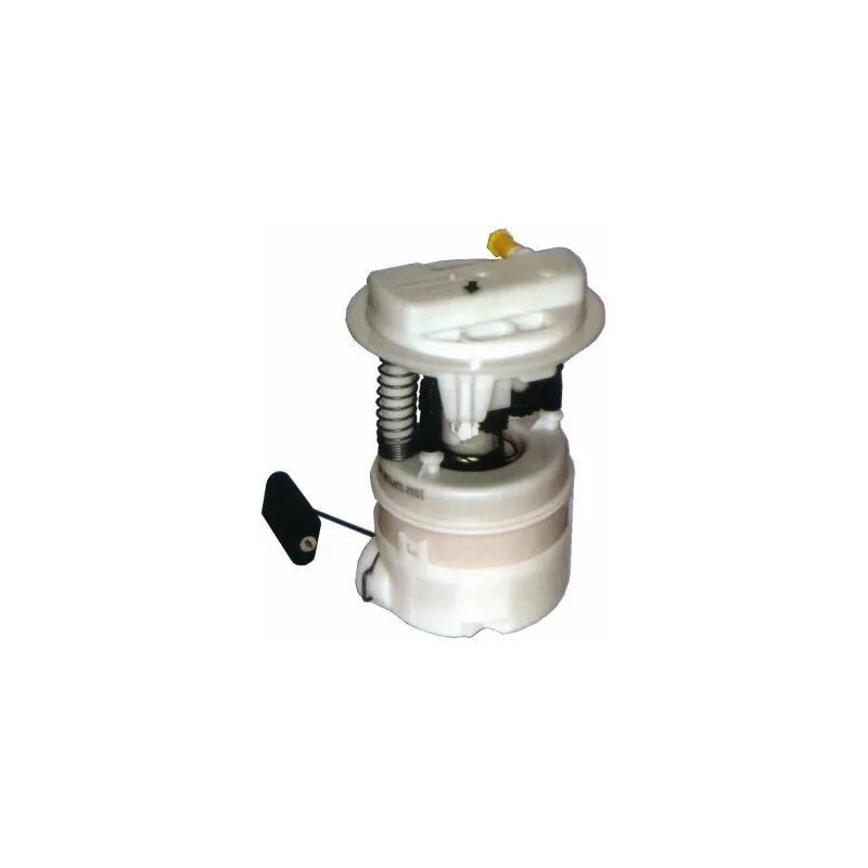 Unité d'injection de carburant HOFFER 7506584