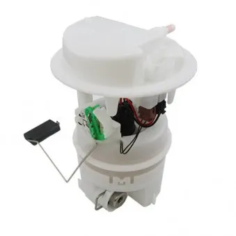 Unité d'injection de carburant HOFFER 7506586