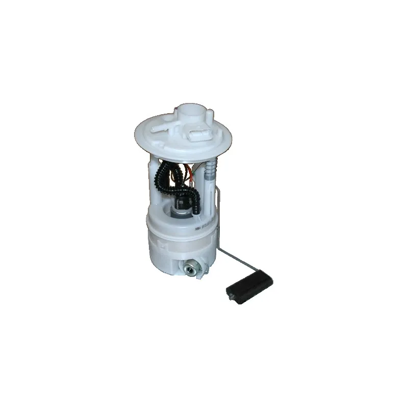 Unité d'injection de carburant HOFFER 7506610