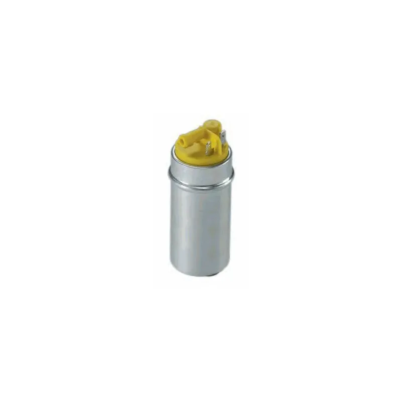 Pompe à carburant HOFFER 7506810