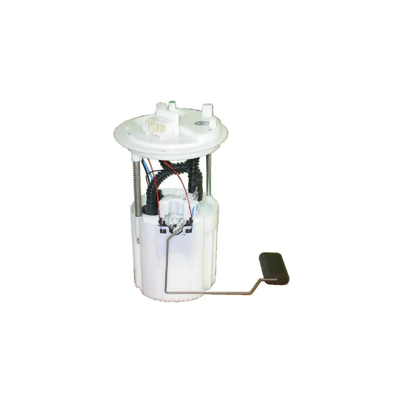 Unité d'injection de carburant HOFFER 7506811