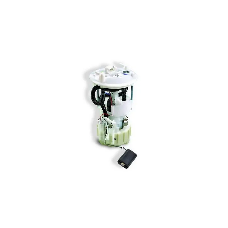 Unité d'injection de carburant HOFFER 7506846