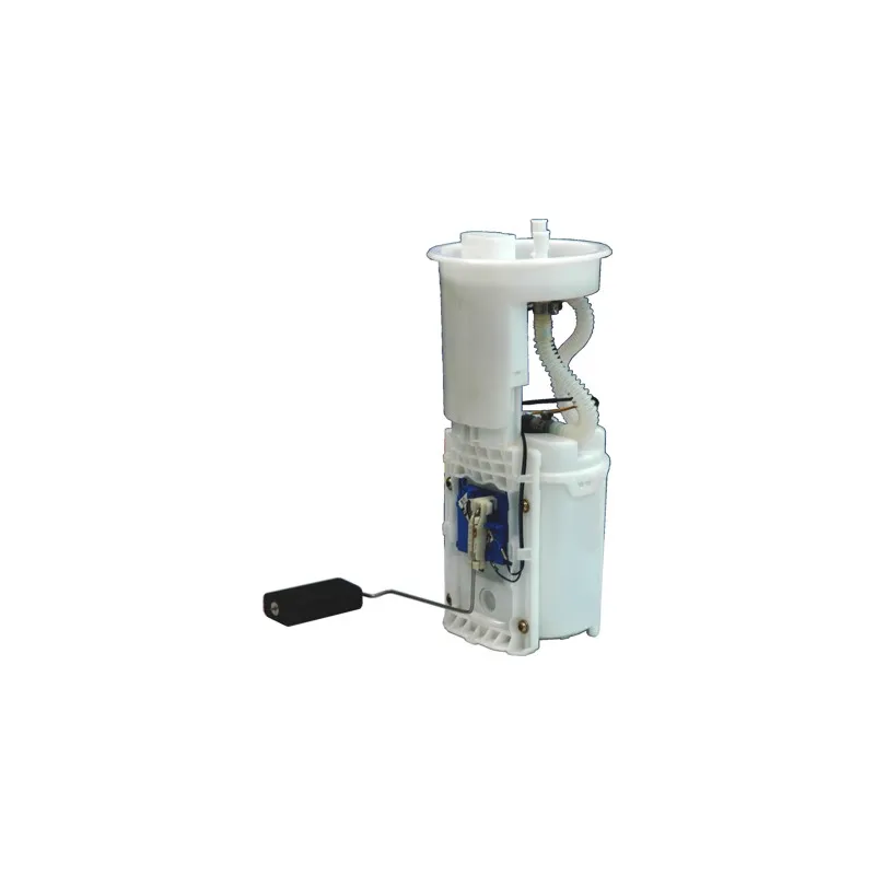 Unité d'injection de carburant HOFFER 7506853