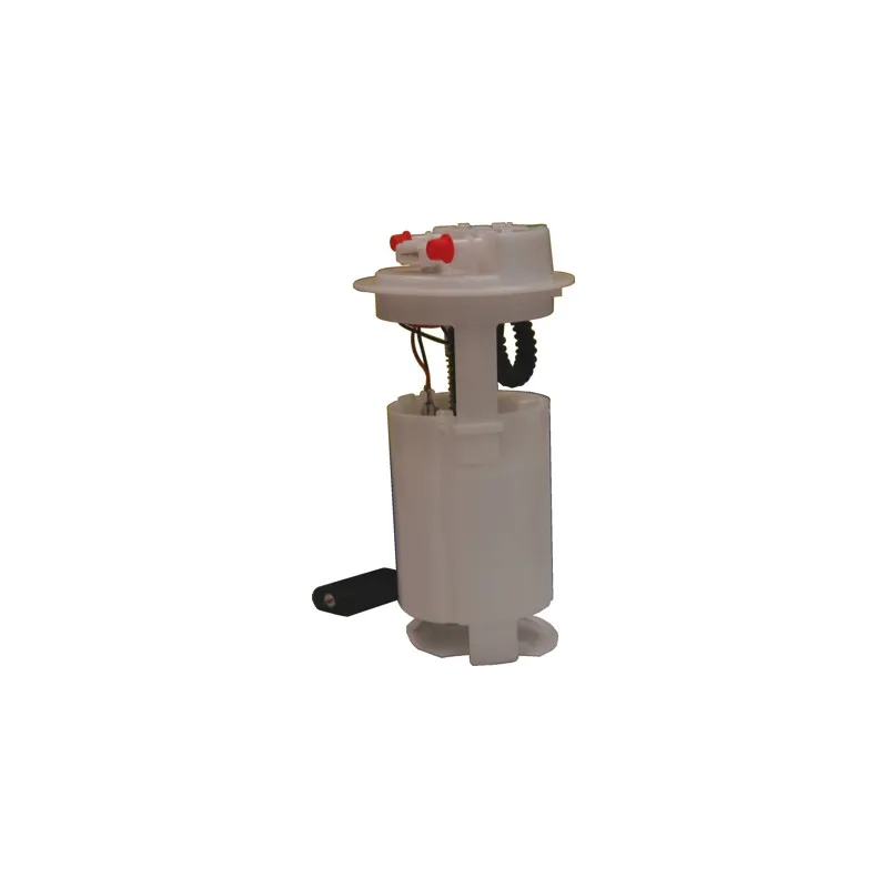 Unité d'injection de carburant HOFFER 7506860