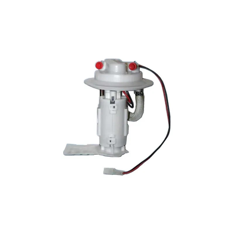 Unité d'injection de carburant HOFFER 7506869