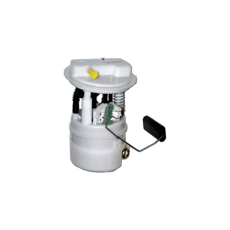 Unité d'injection de carburant HOFFER 7506872