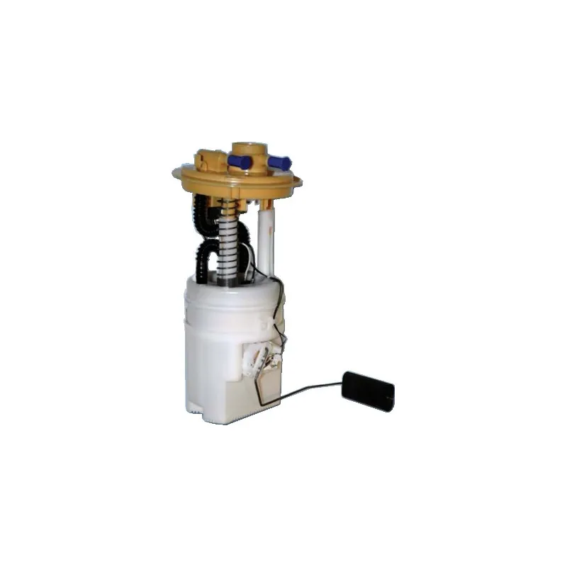 Unité d'injection de carburant HOFFER 7506873