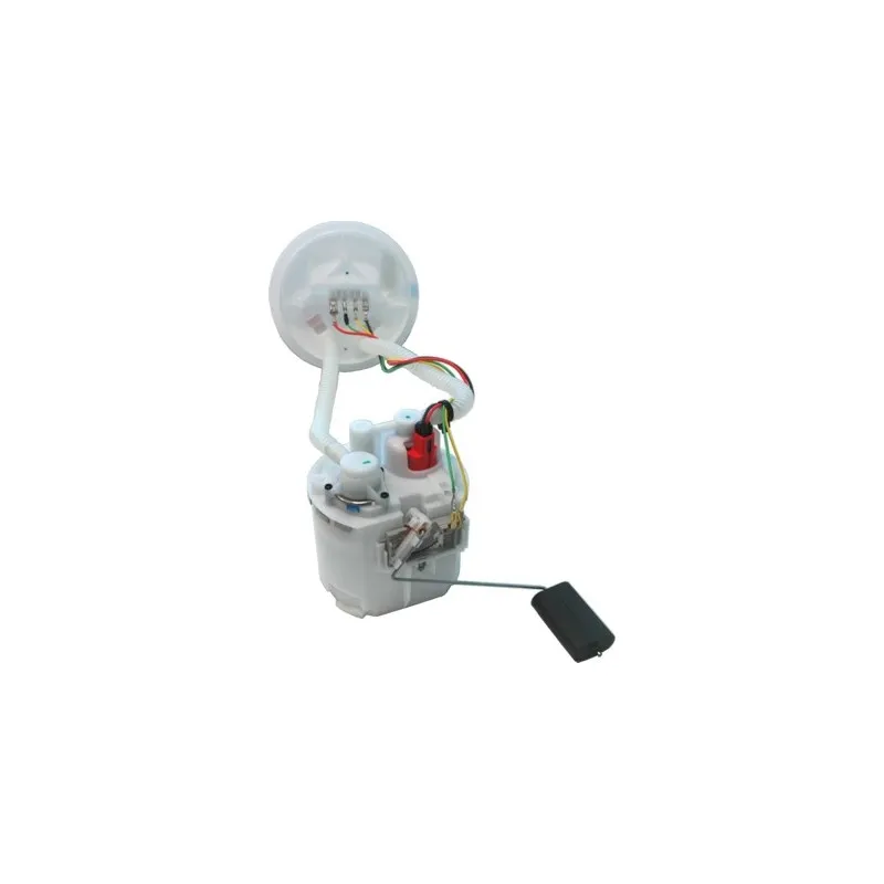 Unité d'injection de carburant HOFFER 7506900