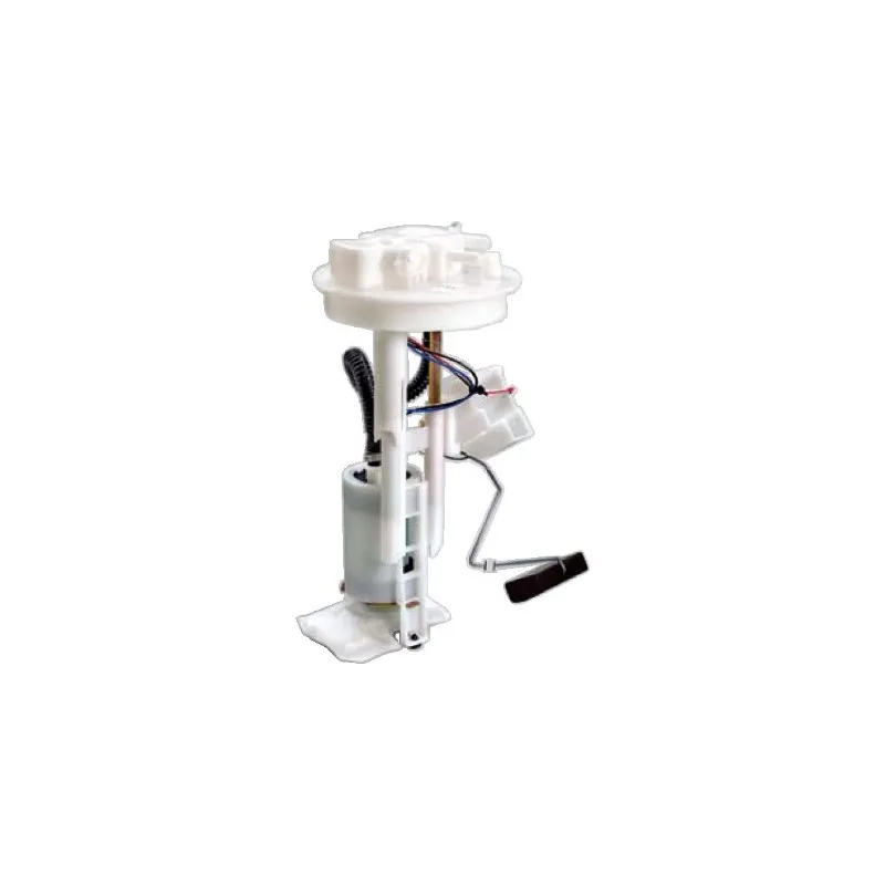 Unité d'injection de carburant HOFFER 7506924