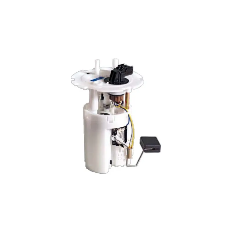 Unité d'injection de carburant HOFFER 7506932