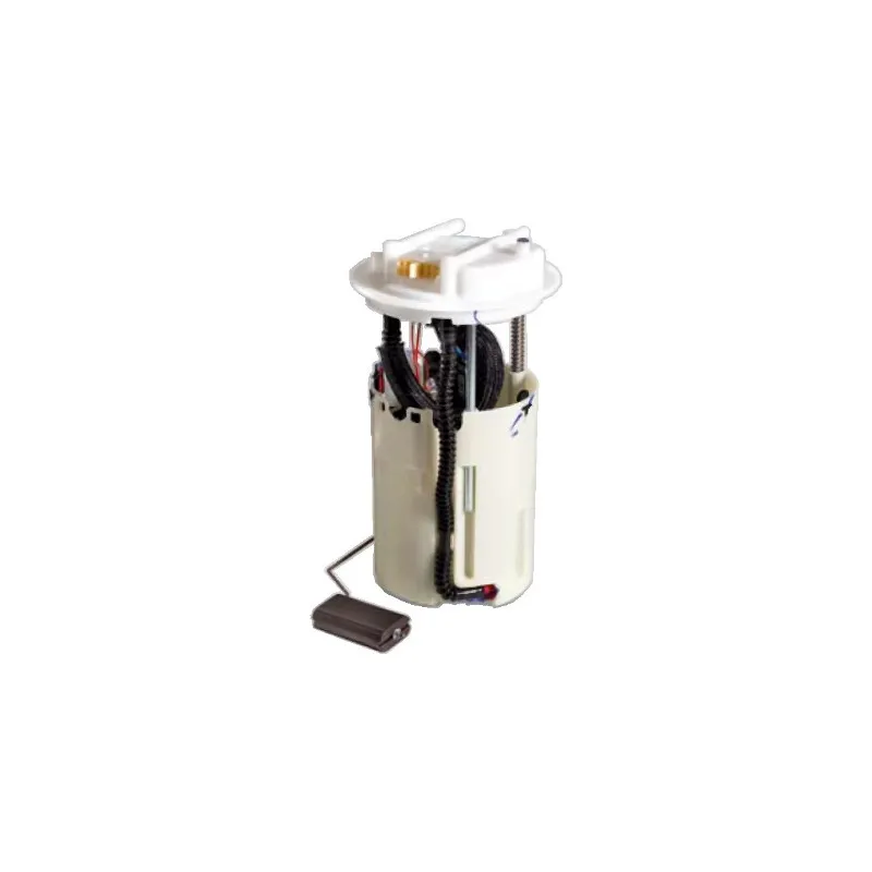 Unité d'injection de carburant HOFFER 7506938
