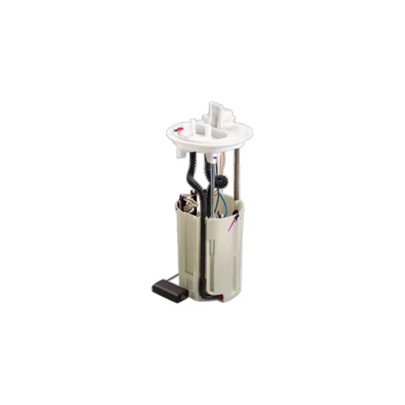 Unité d'injection de carburant HOFFER 7506942