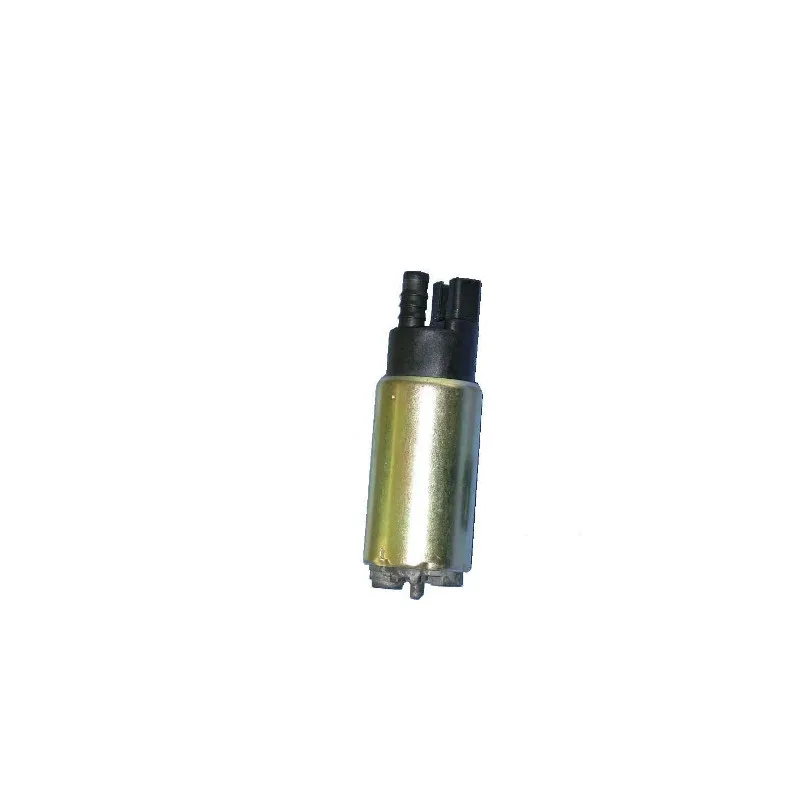Pompe à carburant HOFFER 7506961
