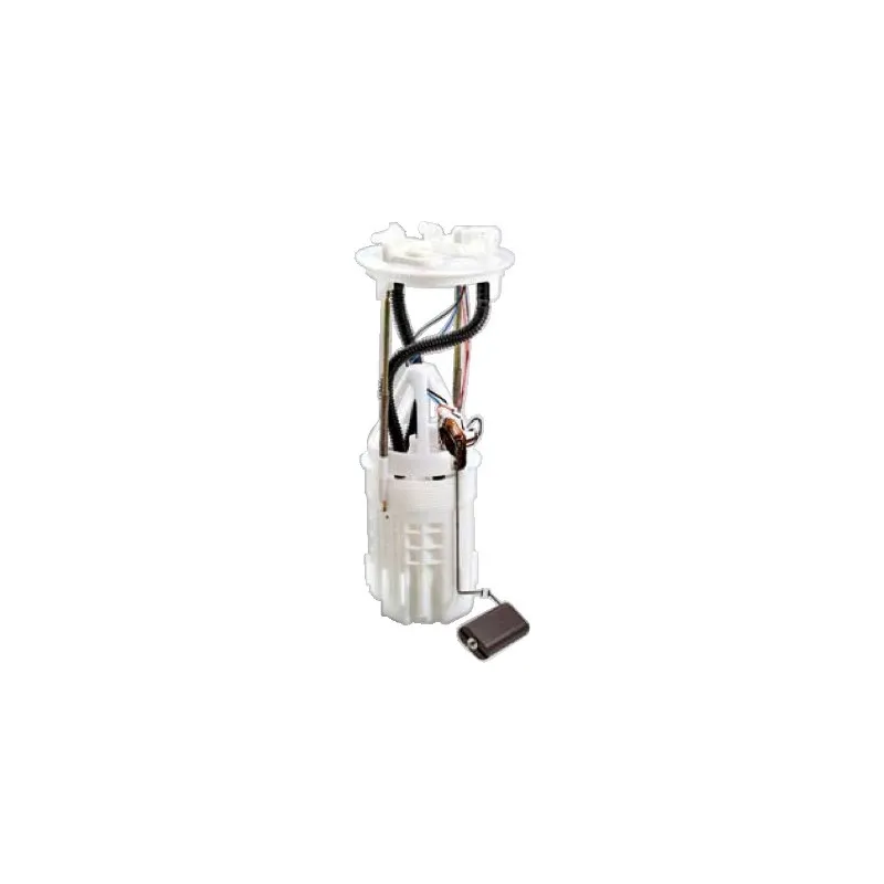Unité d'injection de carburant HOFFER 7506962
