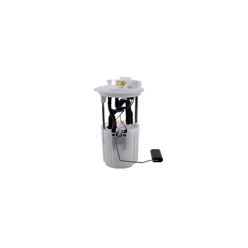 Module d'alimentation en carburant HOFFER 7507012