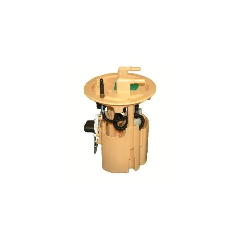 Module d'alimentation en carburant HOFFER 7507016
