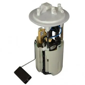 Unité d'injection de carburant HOFFER 7507024