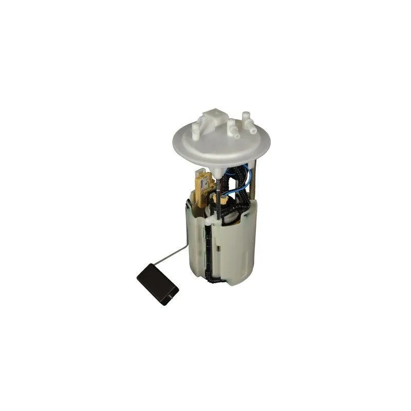 Unité d'injection de carburant HOFFER 7507024