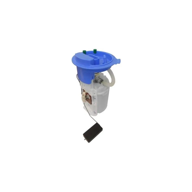Unité d'injection de carburant HOFFER 7507041