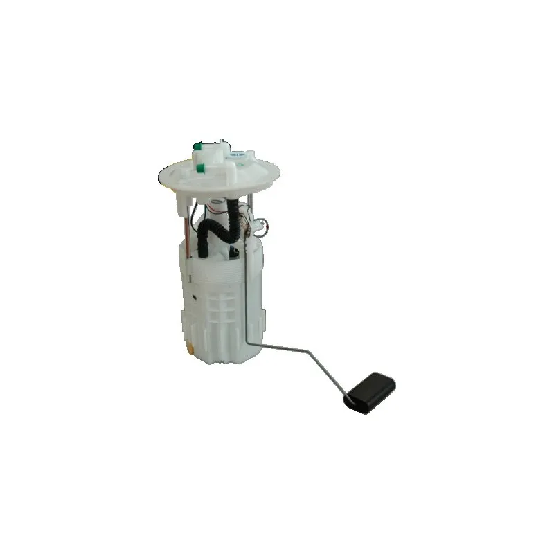 Unité d'injection de carburant HOFFER 7507056