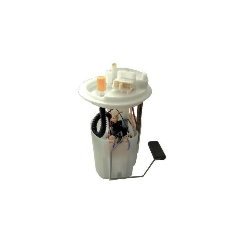 Unité d'injection de carburant HOFFER 7507066