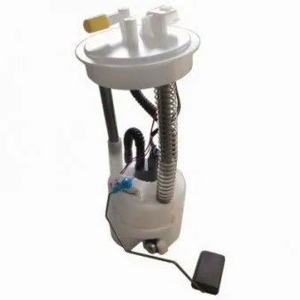 Unité d'injection de carburant HOFFER