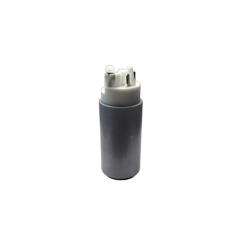 Pompe à carburant HOFFER 7507090