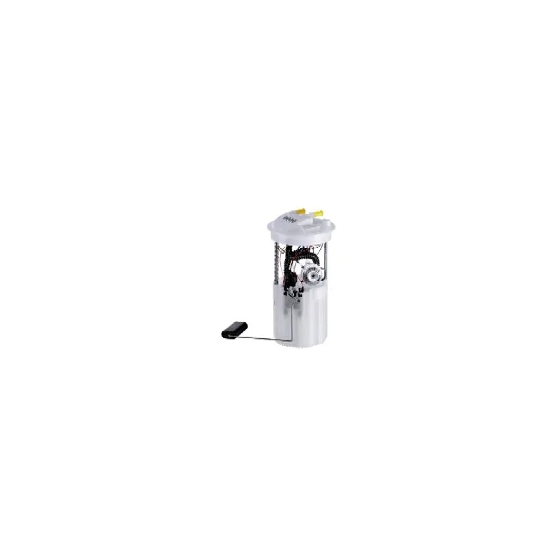 Unité d'injection de carburant HOFFER 7507097