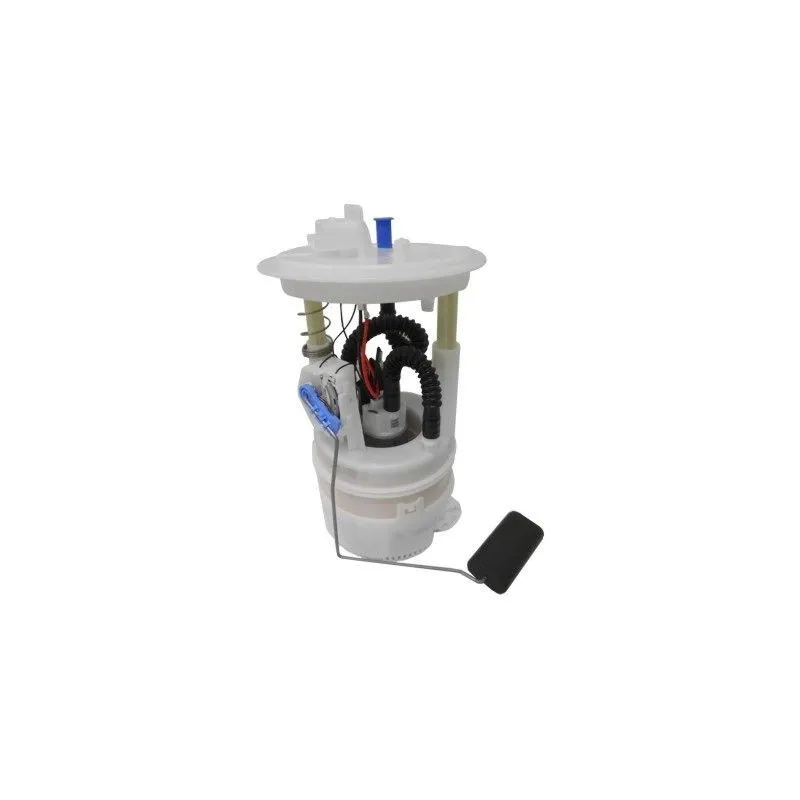 Unité d'injection de carburant HOFFER 7507118