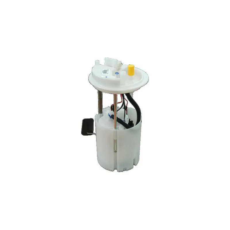 Unité d'injection de carburant HOFFER 7507134E