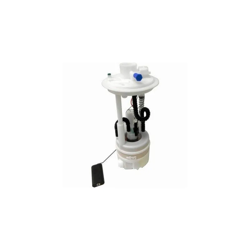 Unité d'injection de carburant HOFFER 7507183