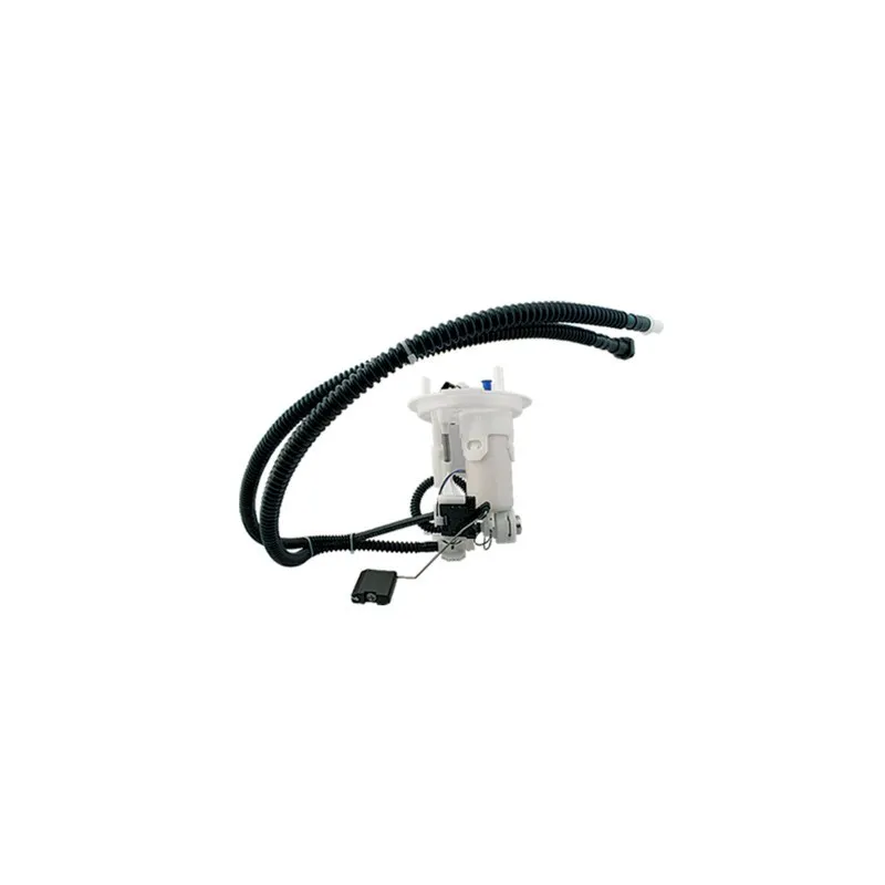 Unité d'injection de carburant HOFFER 7507220