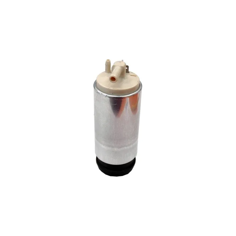 Pompe à carburant HOFFER 7507242
