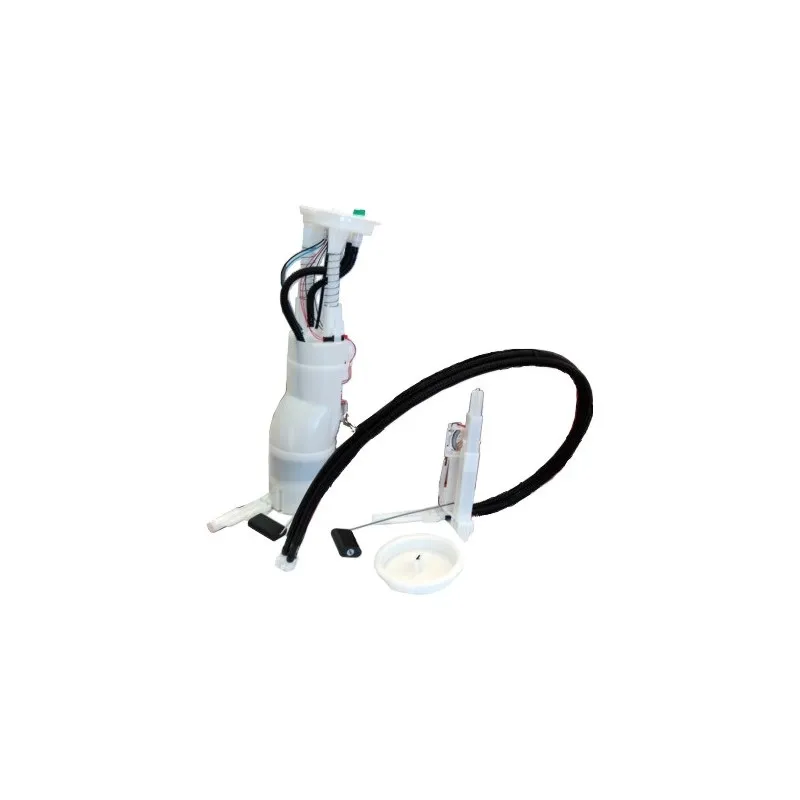 Unité d'injection de carburant HOFFER 7507253