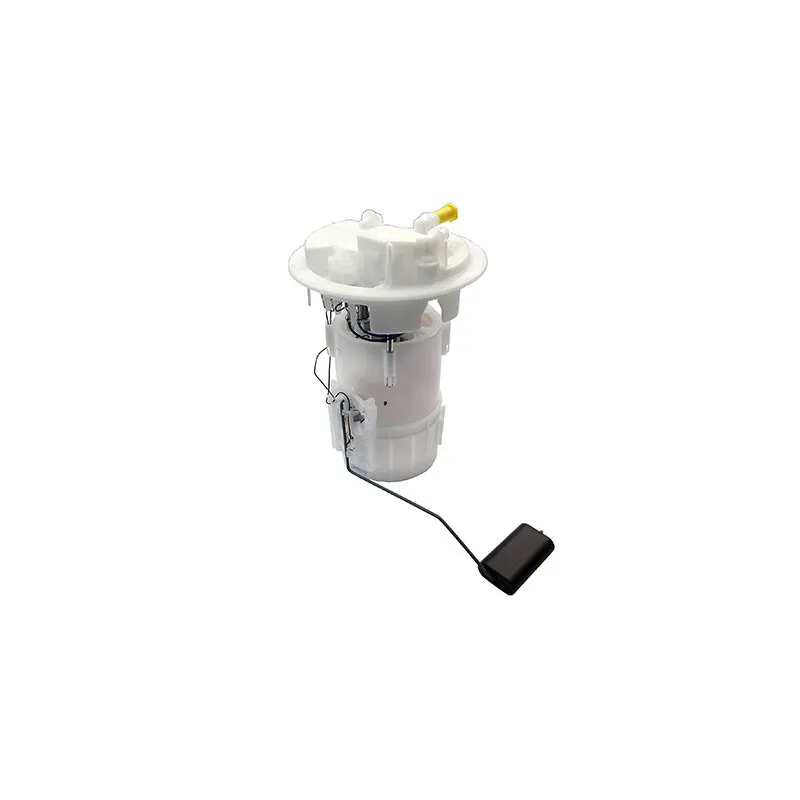 Unité d'injection de carburant HOFFER 7507322