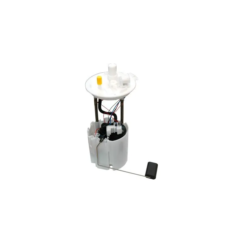 Unité d'injection de carburant HOFFER 7507343
