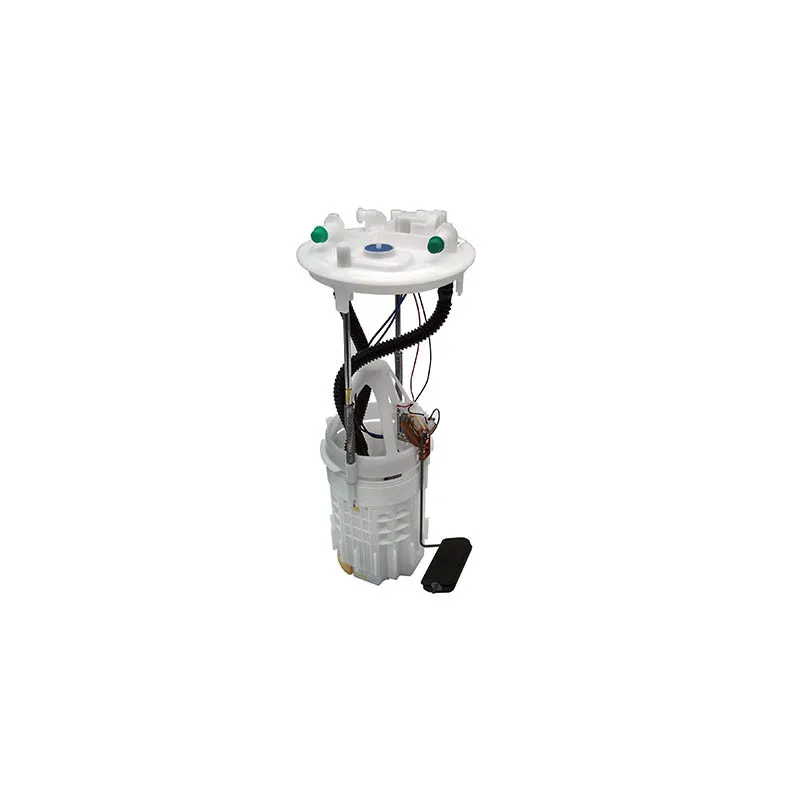 Unité d'injection de carburant HOFFER 7507345