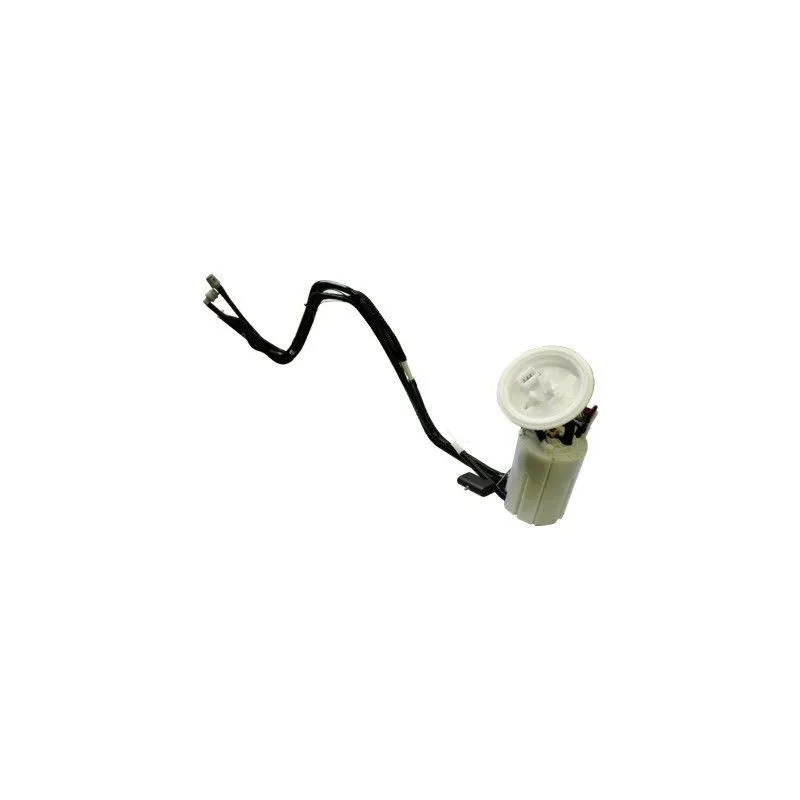 Unité d'injection de carburant HOFFER 7507399