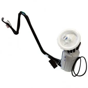 Unité d'injection de carburant HOFFER 7507401