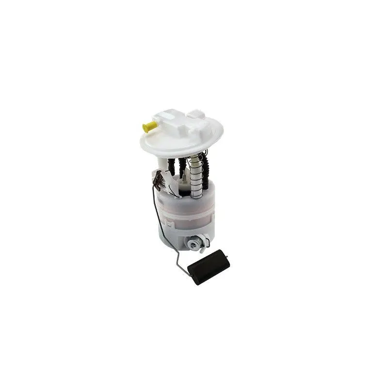 Unité d'injection de carburant HOFFER 7507420