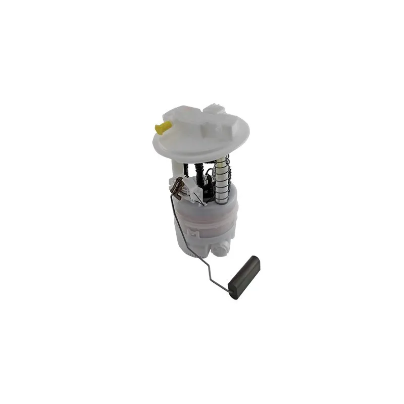 Unité d'injection de carburant HOFFER 7507423