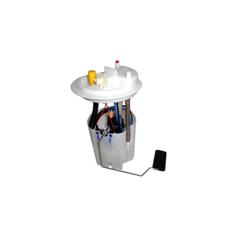 Unité d'injection de carburant HOFFER 7507453