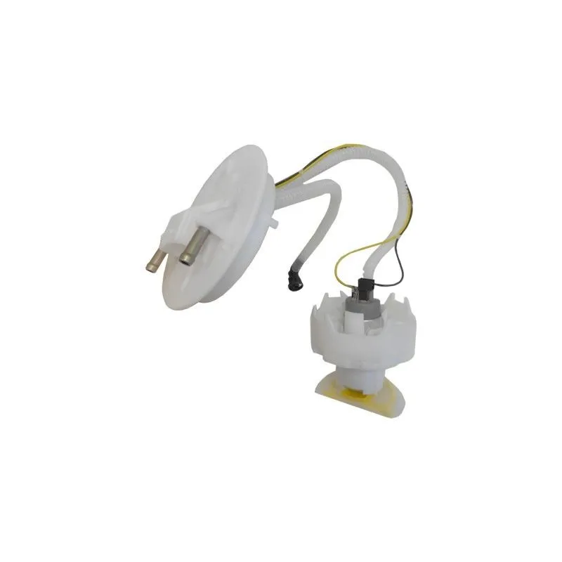 Pompe à carburant HOFFER 7507477