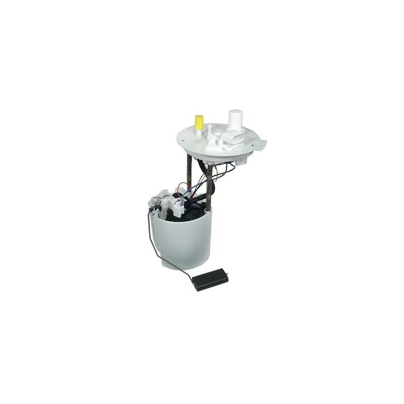 Unité d'injection de carburant HOFFER 7507504