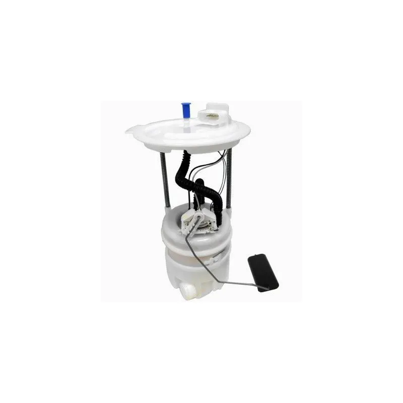 Unité d'injection de carburant HOFFER 7507553