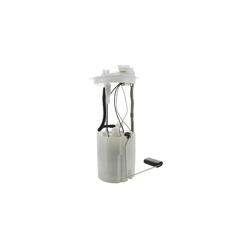 Unité d'injection de carburant HOFFER 7507554