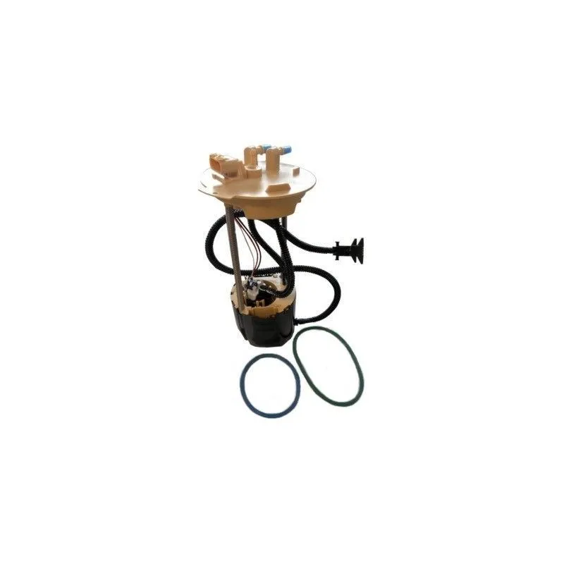 Unité d'injection de carburant HOFFER 7507581