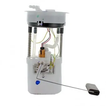 Unité d'injection de carburant HOFFER 7507588