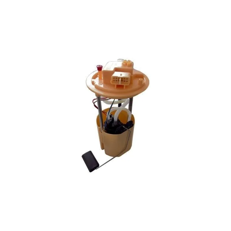 Unité d'injection de carburant HOFFER 7507598